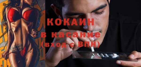 индика Нея