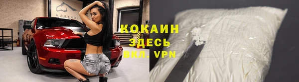 шишки Нефтекумск