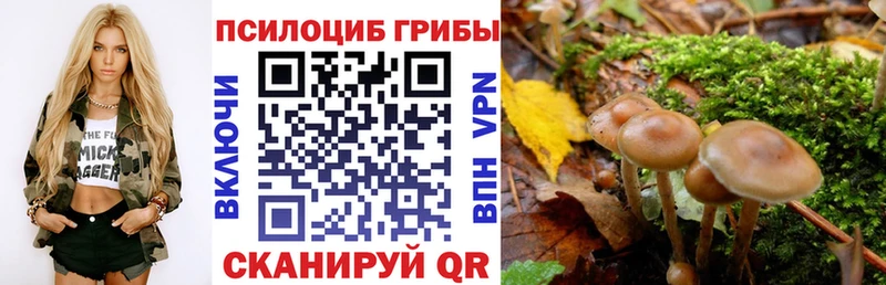 Псилоцибиновые грибы MAGIC MUSHROOMS  наркота  Мурманск 