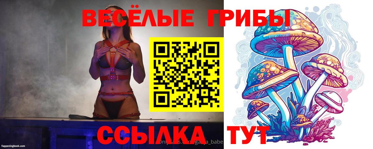 Галлюциногенные грибы Psilocybe  Вход с VPN  Мурманск 