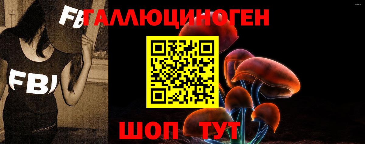 Псилоцибиновые грибы мицелий Мурманск